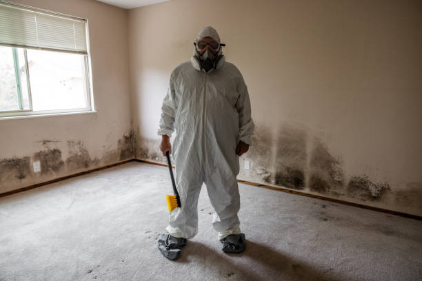 Best Biohazard Mold Removal  in East Helena, MT